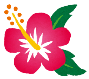 flower_hibiscus